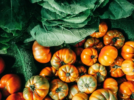 Evitant els Aliments Processats: La nostra Filosofia en l'Elaboració de Menús