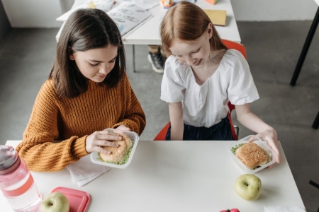 Alimentació i prevenció de l'obesitat infantil en el servei d'àpats escolar